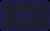 VISA信用卡支付方式图标